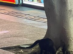 -兵哥豌豆面(建设巷店)
