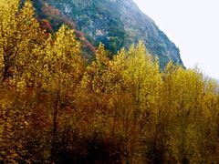 -日月山景区