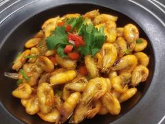 -小六农家乐(崇明西沙湿地店)