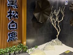 -黑松白鹿(金融街店)