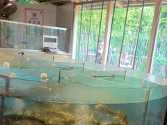 -耕渔小院·湖南鱼鲜(望城店)