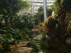-郑州植物园