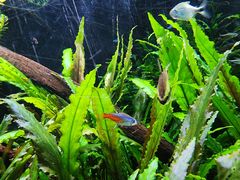 -上海海洋水族馆