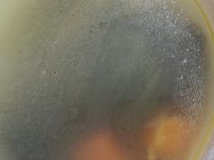 老火靓汤-旭璟酒家·传统粤菜·湘菜(逸景路店)