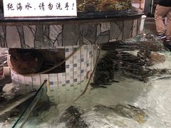 -沙田台山海鲜·酣客酒窖