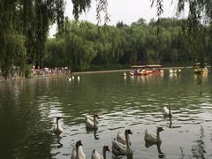 -达活泉公园