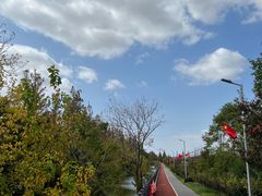 -上海长兴岛郊野公园