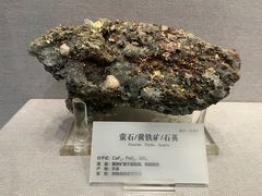 -湖南省地质博物馆