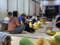 -逗柴咖啡屋·狗咖猫咖宠物桌游