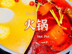 -手选潮汕鲜活牛肉火锅(二七广场店)