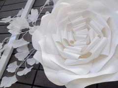 -八喜G’nature冰淇淋旗舰店