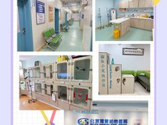-北京观赏动物医院·24小时大型综合·猫专科·异宠专科
