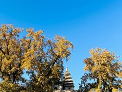-北京石刻艺术博物馆(五塔寺)