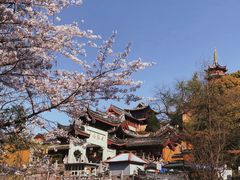 -鸡鸣赐茶(鸡鸣寺路店)