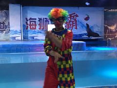 -邯郸海洋世界
