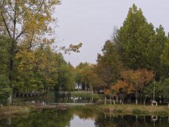 -金银湖国家城市湿地公园