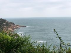 -广东惠东海龟国家级自然保护区