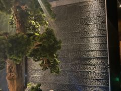 -江南足纪·影院足道·轻奢SPA(笋岗HALO广场店)