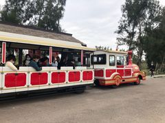 -漩门湾国家湿地公园