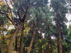 -金堂县云顶石城风景区