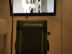 -墨尔本博物馆(Melbourne Museum)