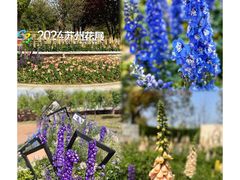 -苏州上方山国家森林公园