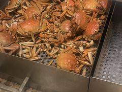 -赛瑞喜来登大酒店-盛宴自助餐厅
