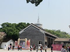 -长洲岛