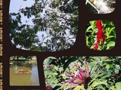 -中国科学院西双版纳热带植物园