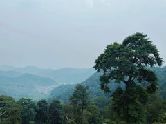 -西湖风景区十里琅珰-五云山