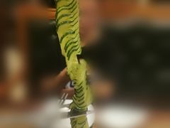 -城南往事·鲁菜济南菜(长清园博园恒大绿洲店)