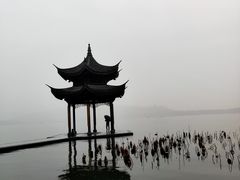 -西湖外事游船(湖滨二公园外事游船码头)