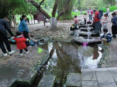 -成都市活水公园