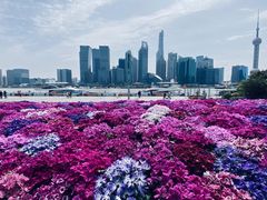 -北外滩滨江绿地