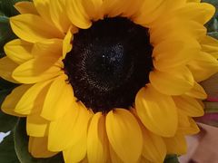 -牧歌商务公馆(南门店)