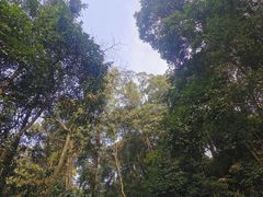 -凤栖山