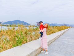 -芒洲湿地公园