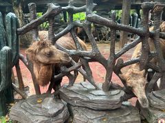 -长鹿旅游休博园
