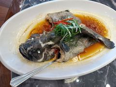 -天顺渔港·海景餐厅(星海广场店)