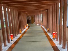 -重庆南山海昌汤都