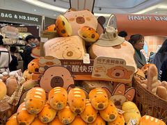 -首开·龙湖成都西宸天街