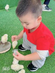 -萌宠亲子动物乐园(槐房万达店)