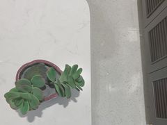 -哈根达斯(皇城恒隆广场店)