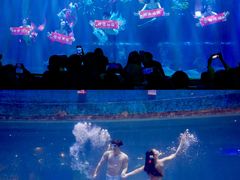 -华夏文旅海洋公园