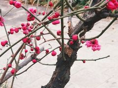 -山东大学(趵突泉校区)