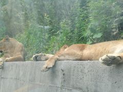 -栾川竹海野生动物园