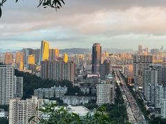 -板樟山森林公园