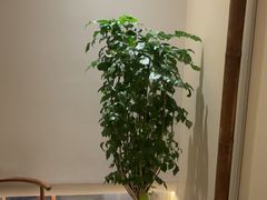 -竹雨堂创意中国菜(裕华店)