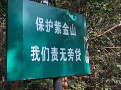 -紫金山山顶公园