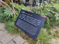 -红梅公园